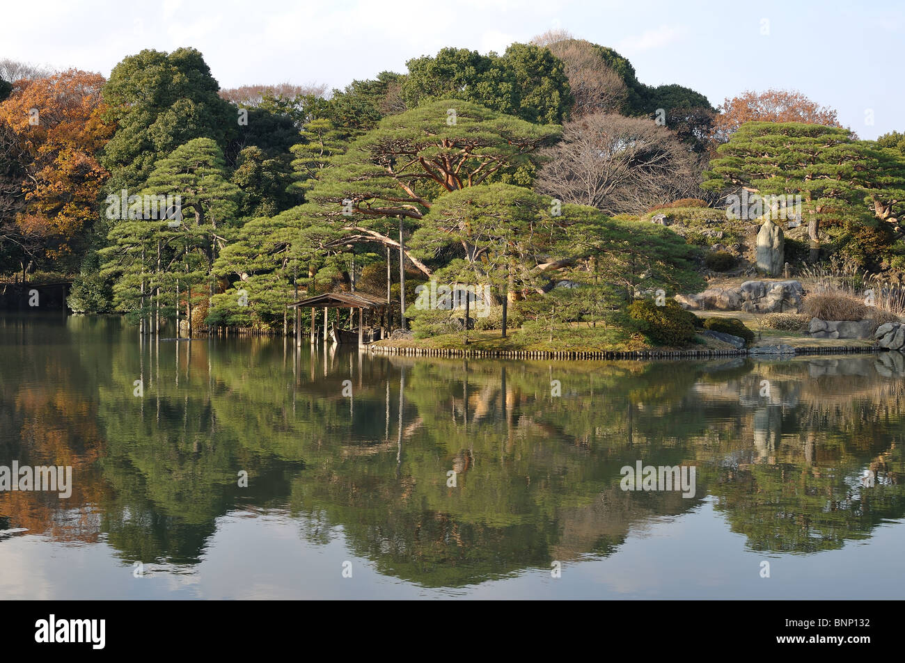 Tipico giardino Giapponese con alberi che riflettono in stagno in primo piano (Tokyo, Giappone) Foto Stock
