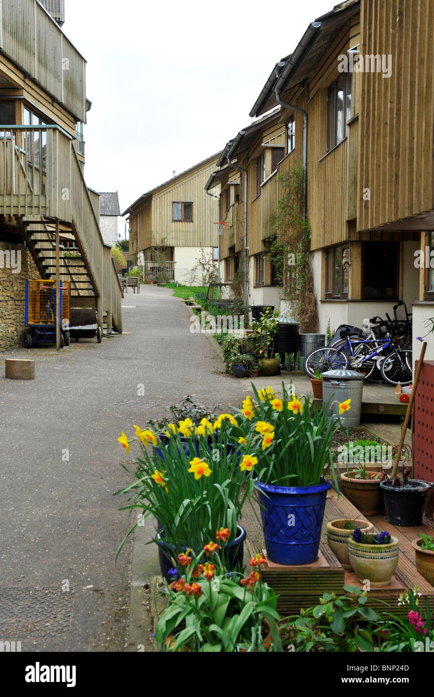 Springhill Eco-Housing, cohousing, comunità sociale l'alloggiamento. Stroud Gloucestershire. Inghilterra, Regno Unito. Foto Stock