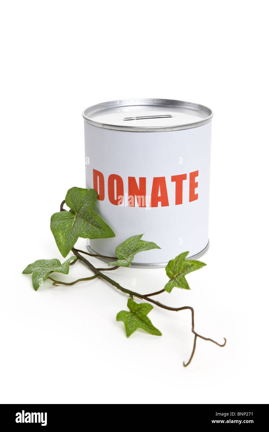 Casella di donazione e di pianta verde, concetto di recessione Foto Stock