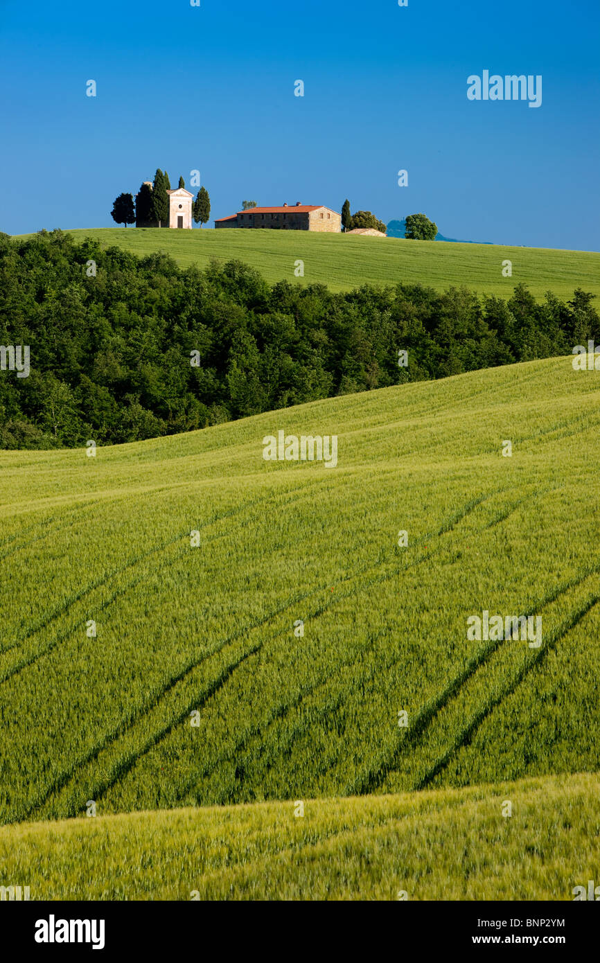 Cappella di Vitaleta e i campi di rotolamento della Toscana nei pressi di San Quirico d'Orcia, Italia Foto Stock