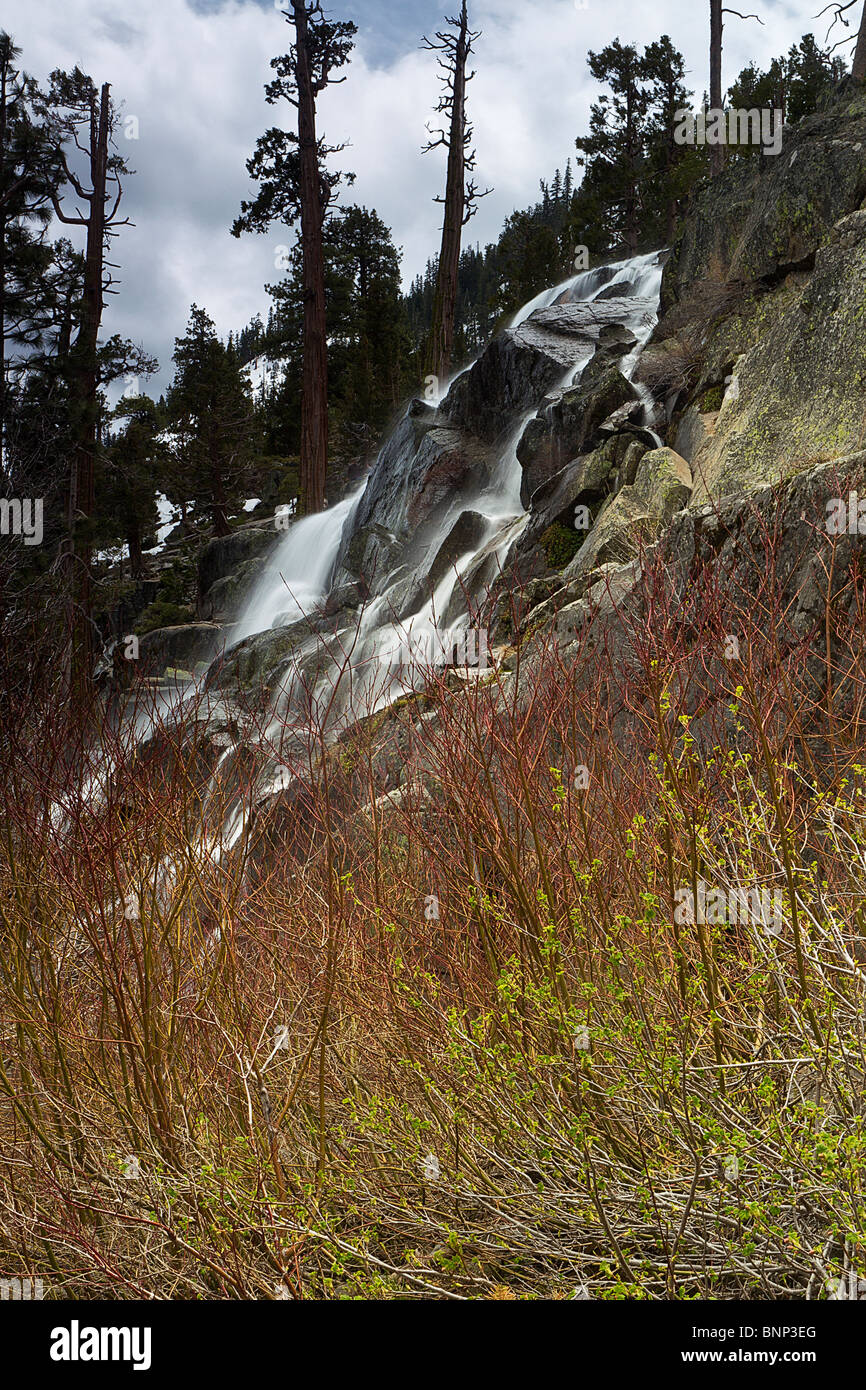 Abbassare Eagle Falls Creek e sanguinello, Lake Tahoe, California, Stati Uniti d'America. Foto Stock