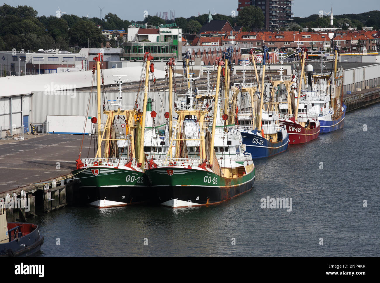 Una flotta di navi per la pesca a strascico nel porto di Ijmuiden nei Paesi Bassi, l'Europa. Foto Stock