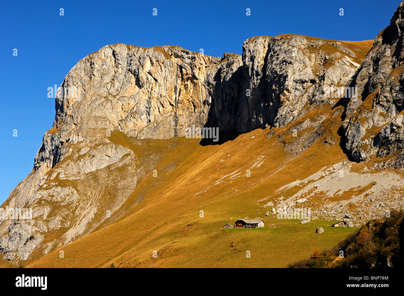 Alp Uesseri Gelten al di sotto di Mt. Follhore nella valle Gelten, riserva naturale Gelten-Iffigen, Oberland bernese, Svizzera Foto Stock