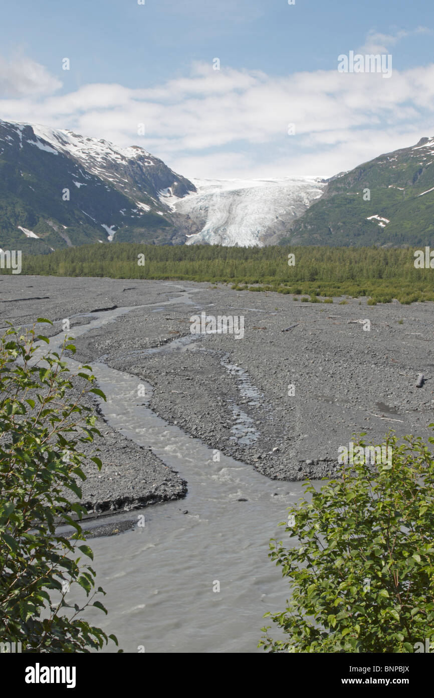 Exit Glacier Kenai Peninsula Alaska Foto Stock
