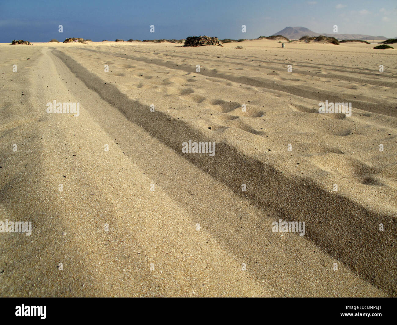 Tracce di pneumatici lungo la spiaggia sabbiosa Foto Stock