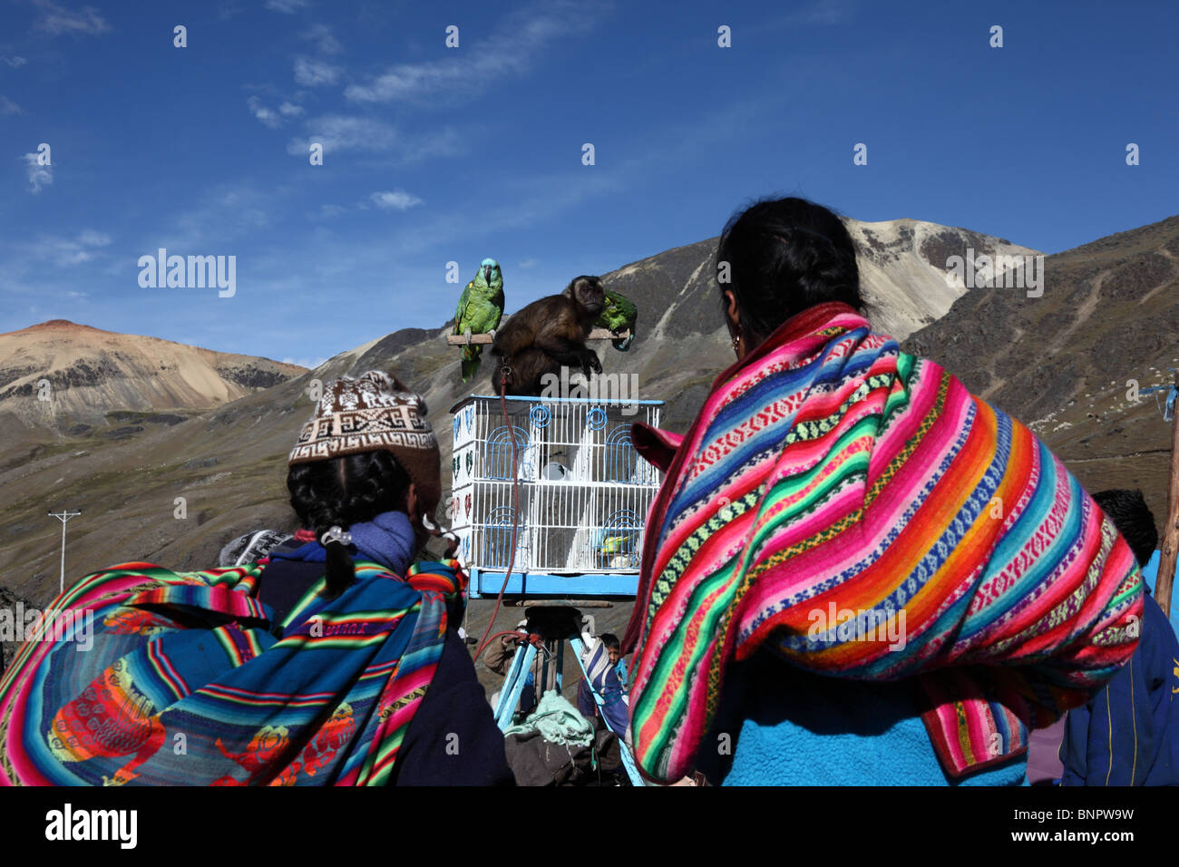 Signora Quechua e ragazza affascinato da parrot e scimmia durante Qoyllur Riti festival , regione di Cusco , Perù Foto Stock