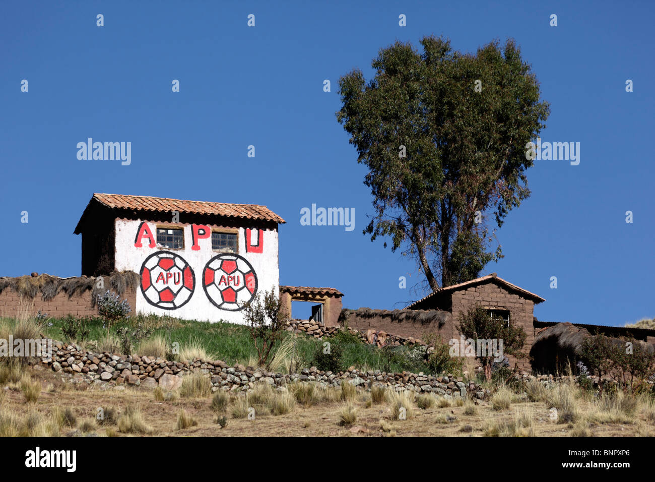 Propaganda a tema Coppa del mondo per candidati alle prossime elezioni locali in casa rurale, vicino Yanaoca, Cusco Regione, Perù Foto Stock