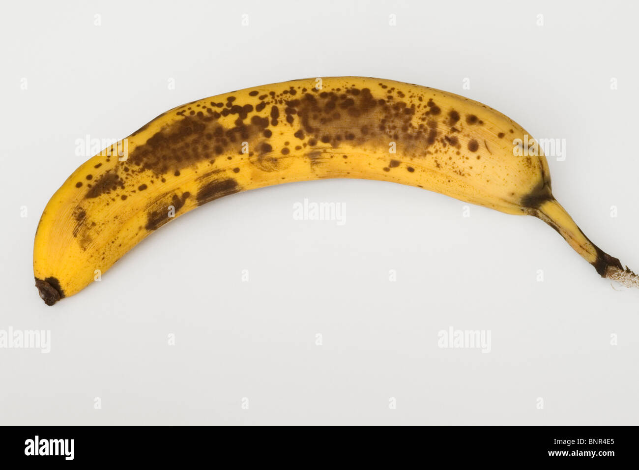 Una banana che mostra macchie marroni e marcature come si inizia a maturare su Foto Stock