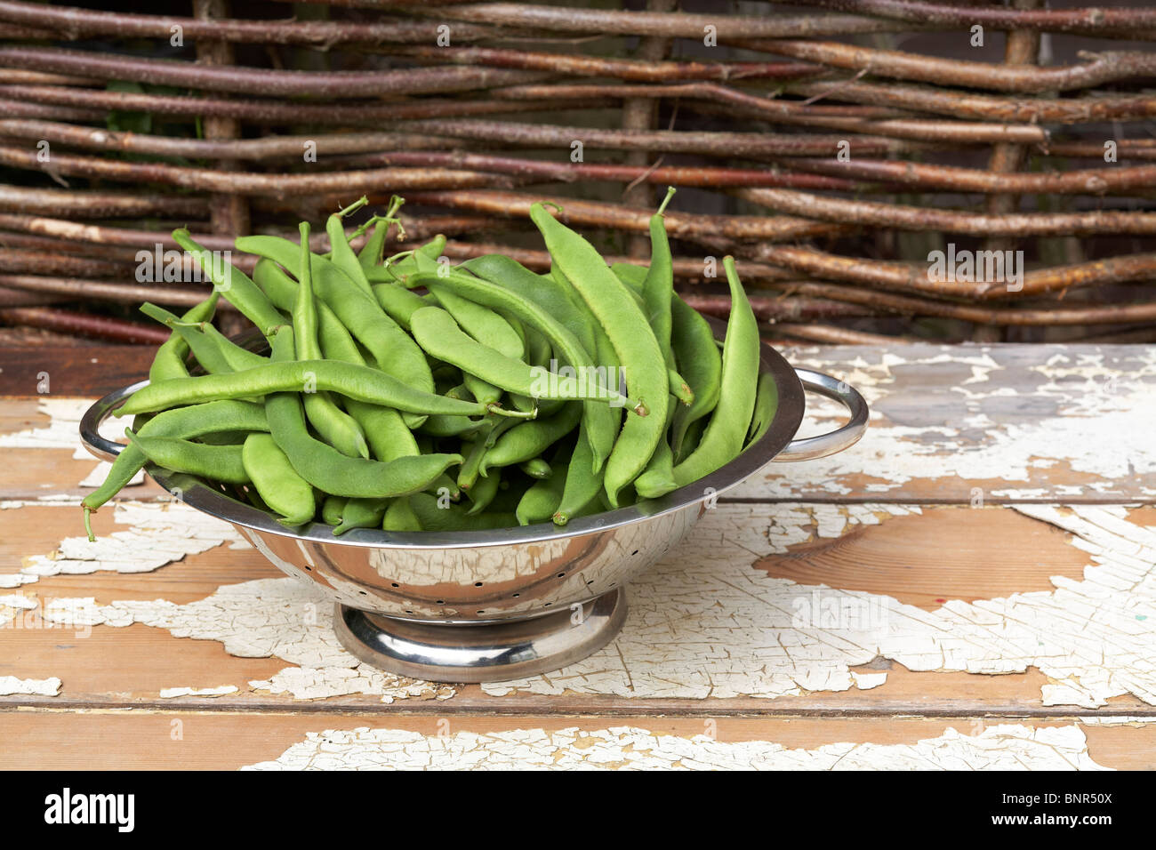 Cresciuto in casa i baccelli in metallo scolapasta Foto Stock
