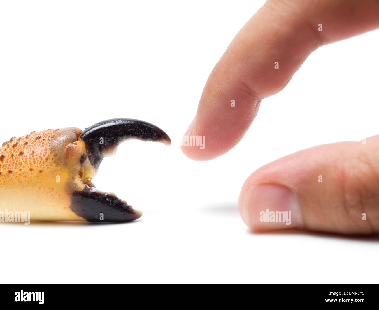 Immagine concettuale su due diversi esseri umani sulla Terra e ancora in modo simile, e i loro arti Foto Stock