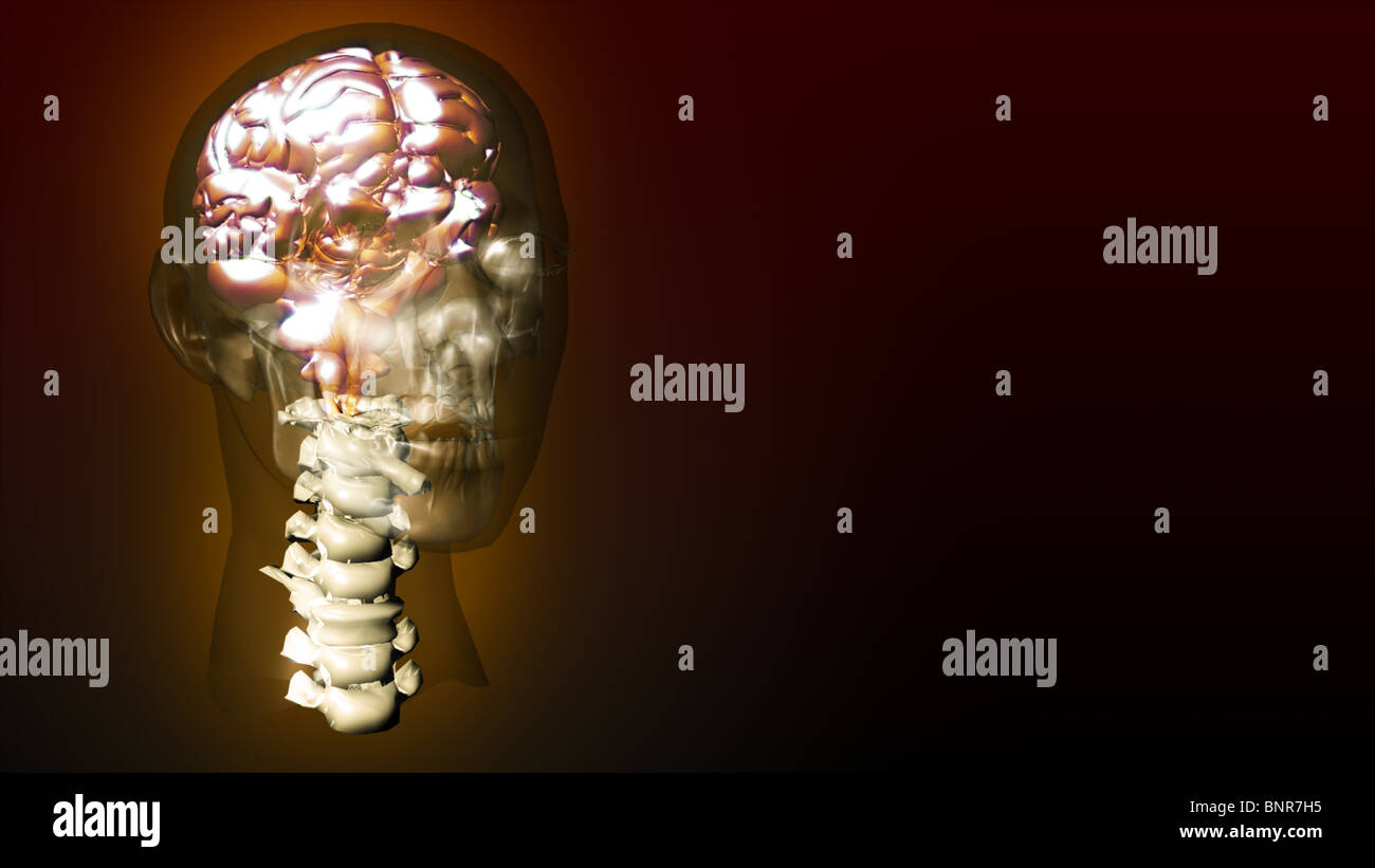 Altamente dettagliate animazione di un cervello umano Foto Stock