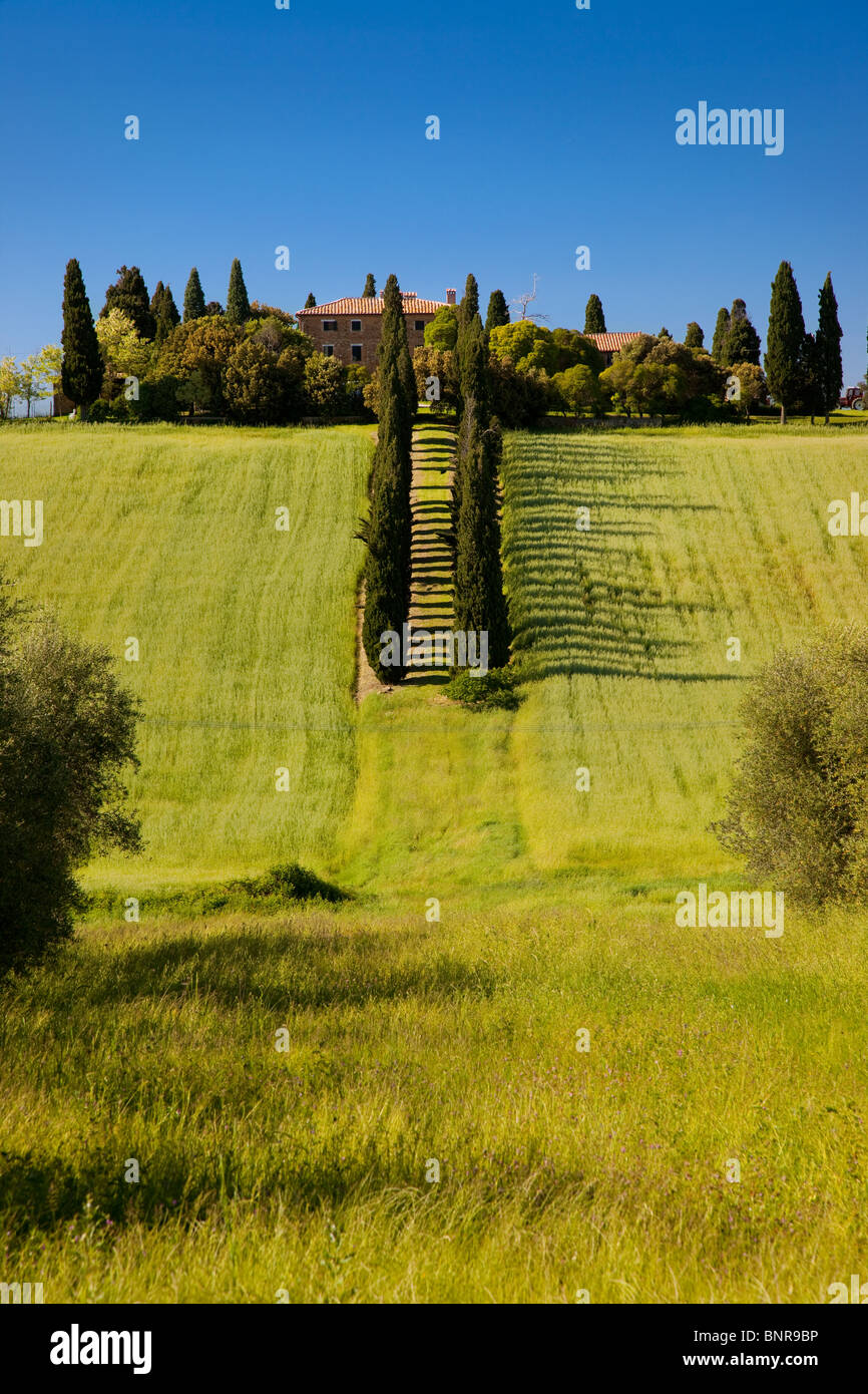 Villa al fine di Cypress-rigato lane nei pressi di San Quirico in Val d'Orcia Toscana Italia Foto Stock