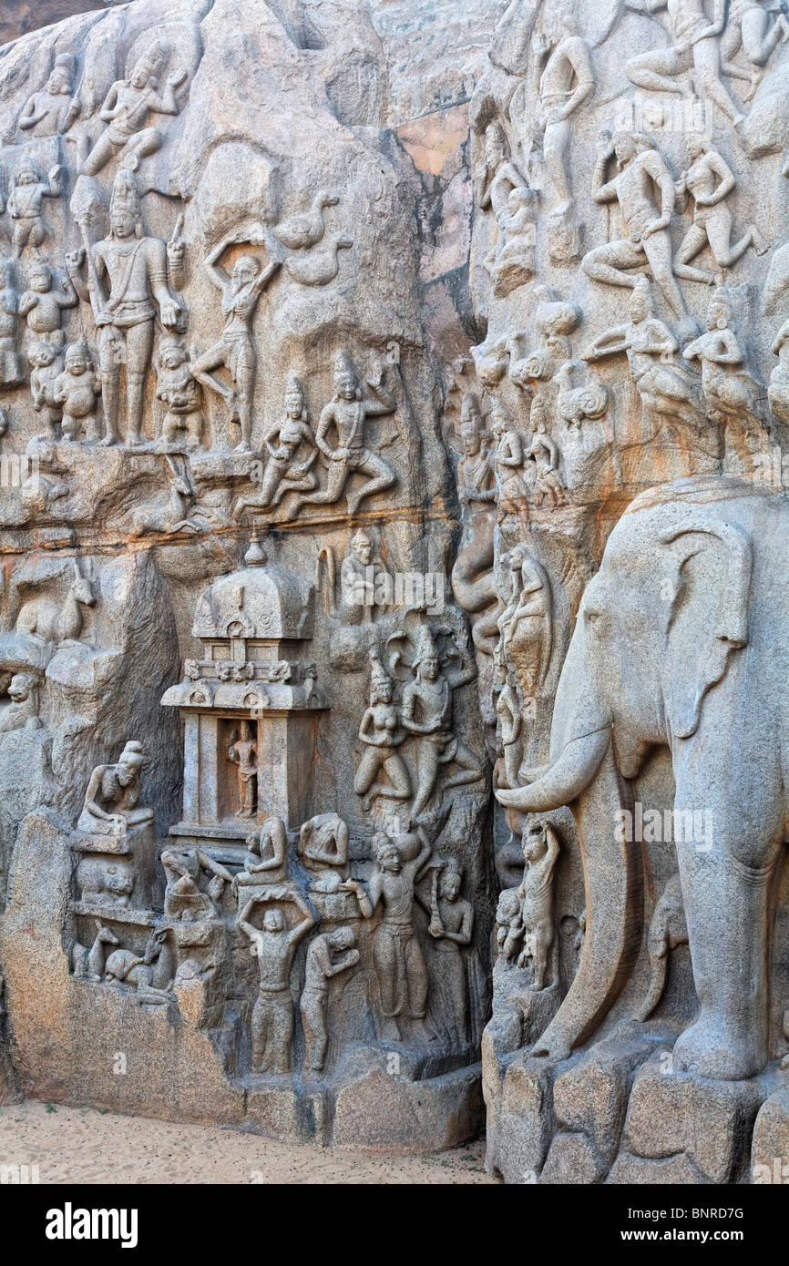 India - Tamil Nadu - Mamallapuram - sculture di Arjuna di penitenza Foto Stock