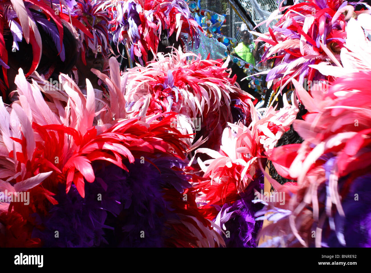 Rosa red feather festival in costume Foto Stock
