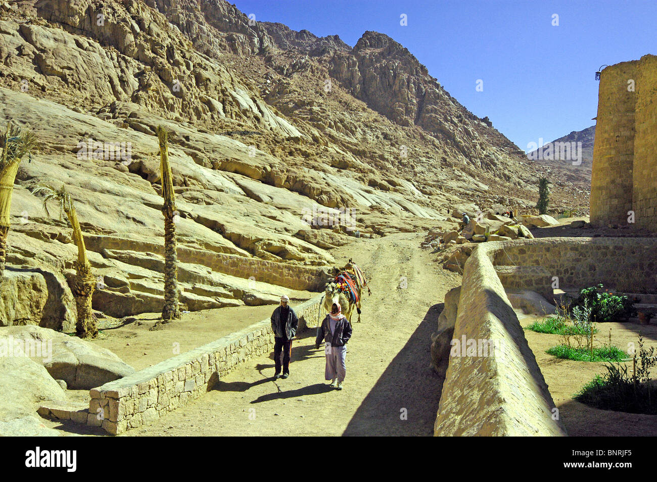 La vita locale al di fuori il monastero di Santa Caterina nella massa rocciosa del Sinai. Foto Stock