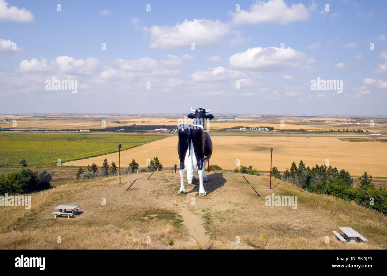 Salem sue, la più grande vacca Holstein del mondo, sovrasta New Salem, North Dakota, celebrando il orgoglioso patrimonio caseario dello stato. Foto Stock