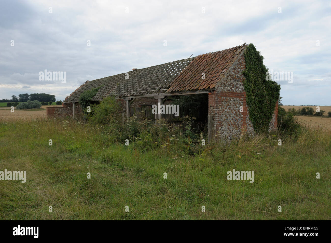 Il vecchio Norfolk farm barn con Pan tetto di tegole. Foto Stock