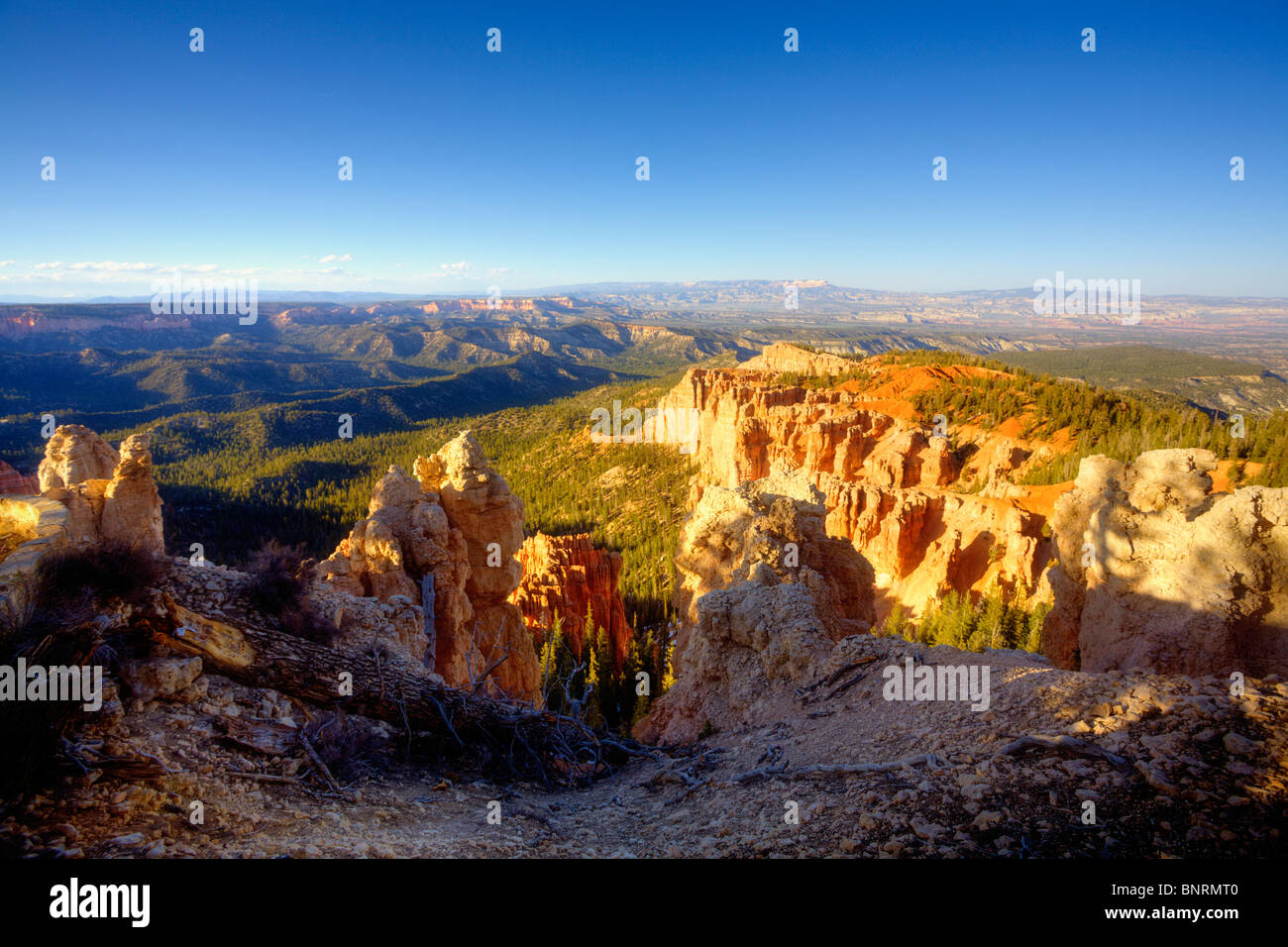 Parco Nazionale di Bryce Canyon Foto Stock
