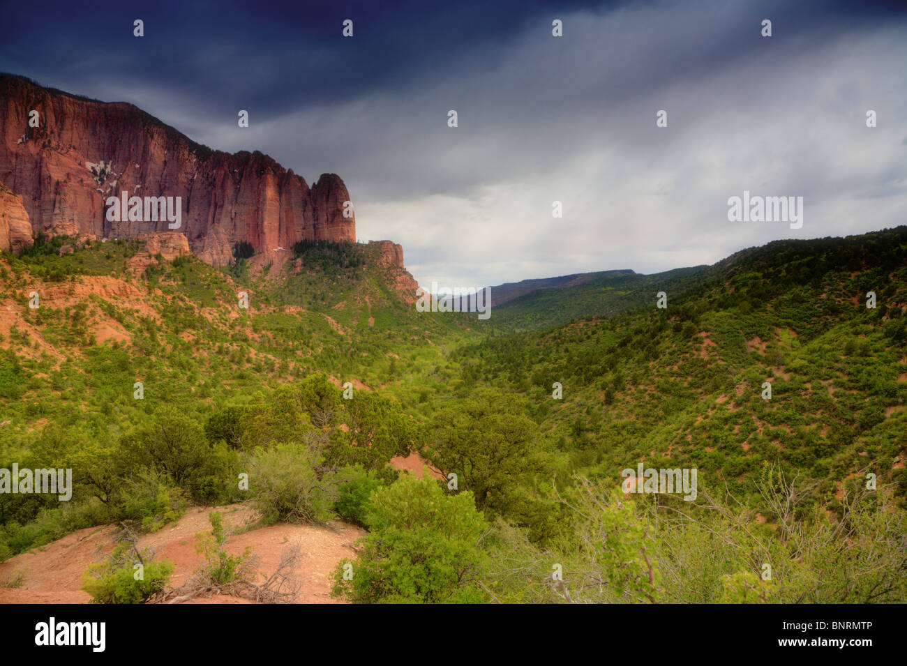 Parco Nazionale di Zion Foto Stock