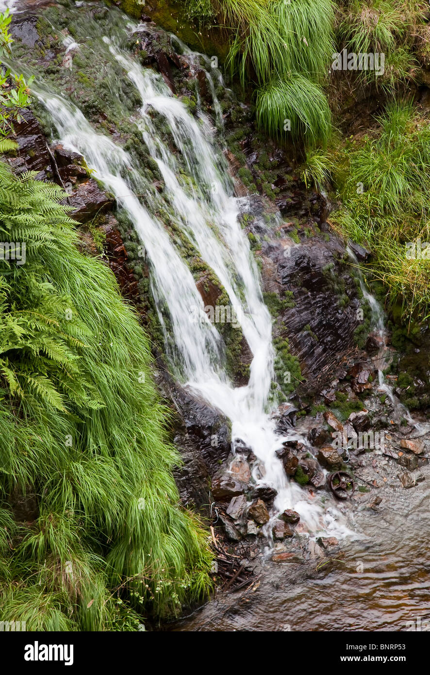 Cascata da vecchie miniere che scorre nel fiume Ystwyth Wales UK Foto Stock