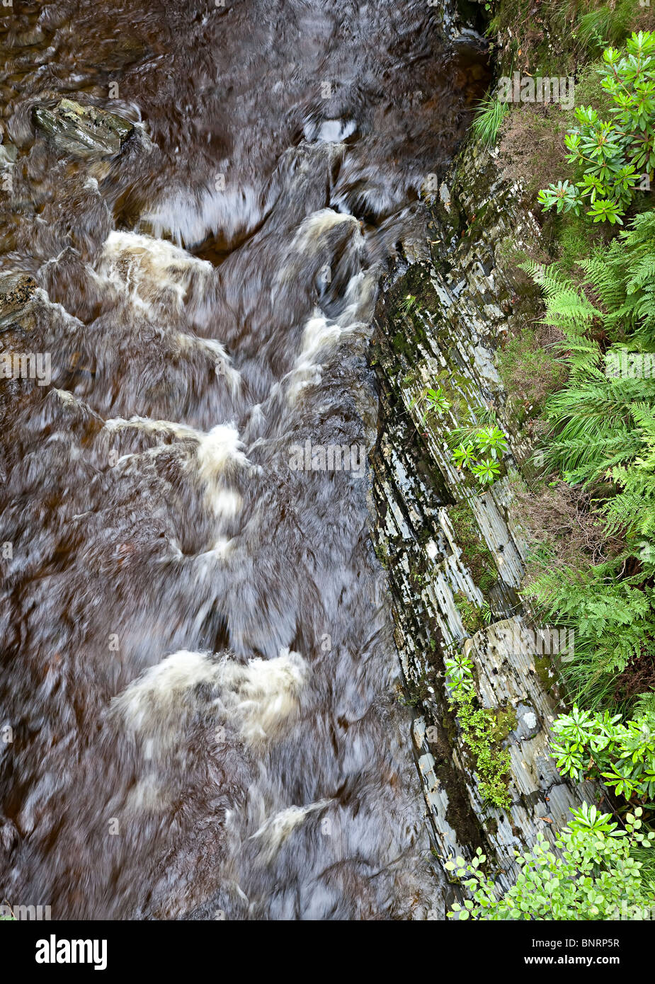 Fiume che scorre scogliera in passato ricoperto di vegetazione Wales UK Foto Stock