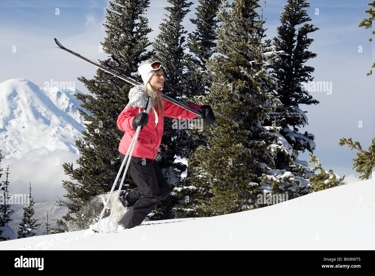 Una donna il trasporto di sci e poli escursioni nella neve con Mt. Rainier viste in background. Foto Stock