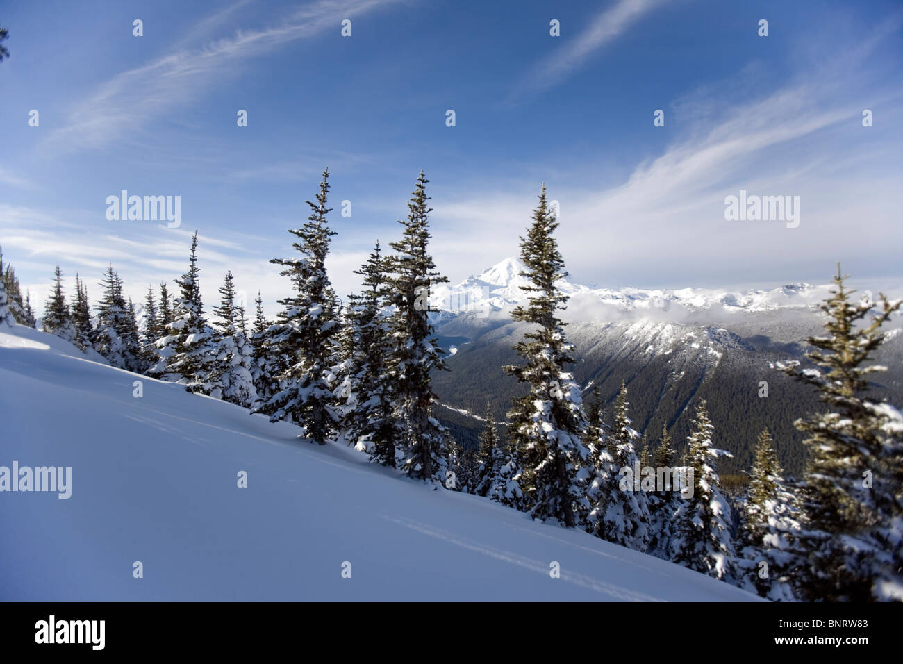 Mt. Rainier nello stato di Washington è visto dalla cima di una montagna in una limpida giornata invernale. Foto Stock