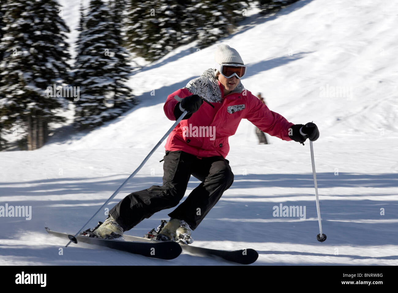 Una donna bionda sci attraverso la polvere in una giornata di sole. Foto Stock