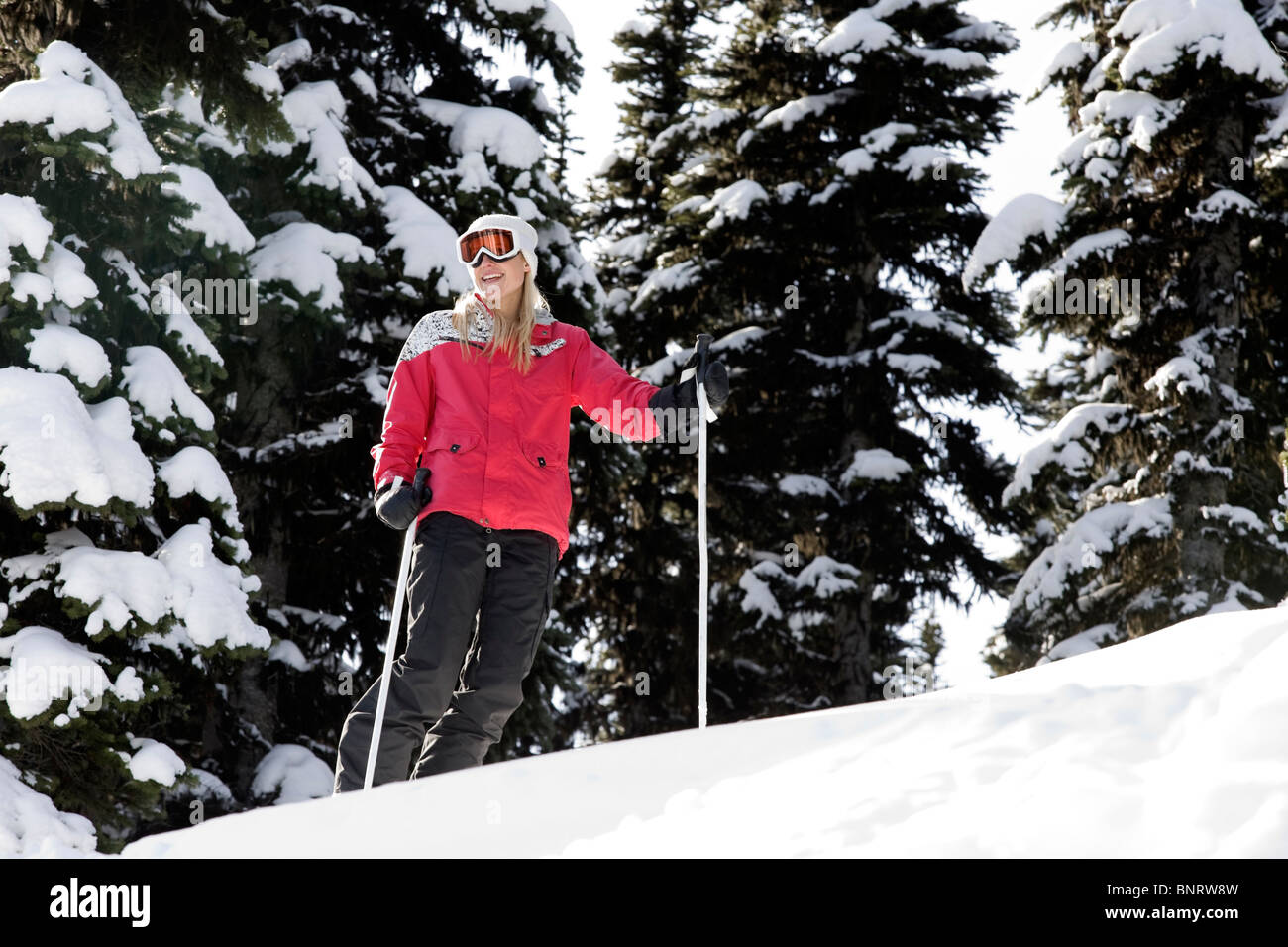 Una donna gli sci tra i fiocchi di neve alberi. Foto Stock