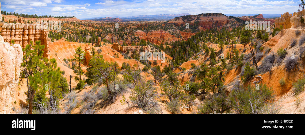 Ampio angolo di panorama di Bryce Canyon Foto Stock