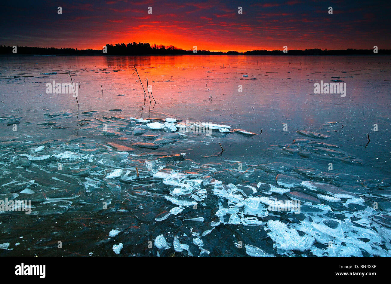 Incredibile inverno sunrise a Årvold nel lago Vansjø in Østfold, Norvegia. Vansjø è una parte dell'acqua sistema chiamato Morsavassdraget. Foto Stock