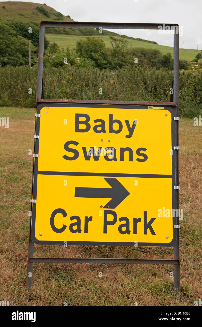 Segno a lato strada rivolta verso il parco auto e baby cigni del Abbotsbury Swannery nel Dorset, Regno Unito. Foto Stock