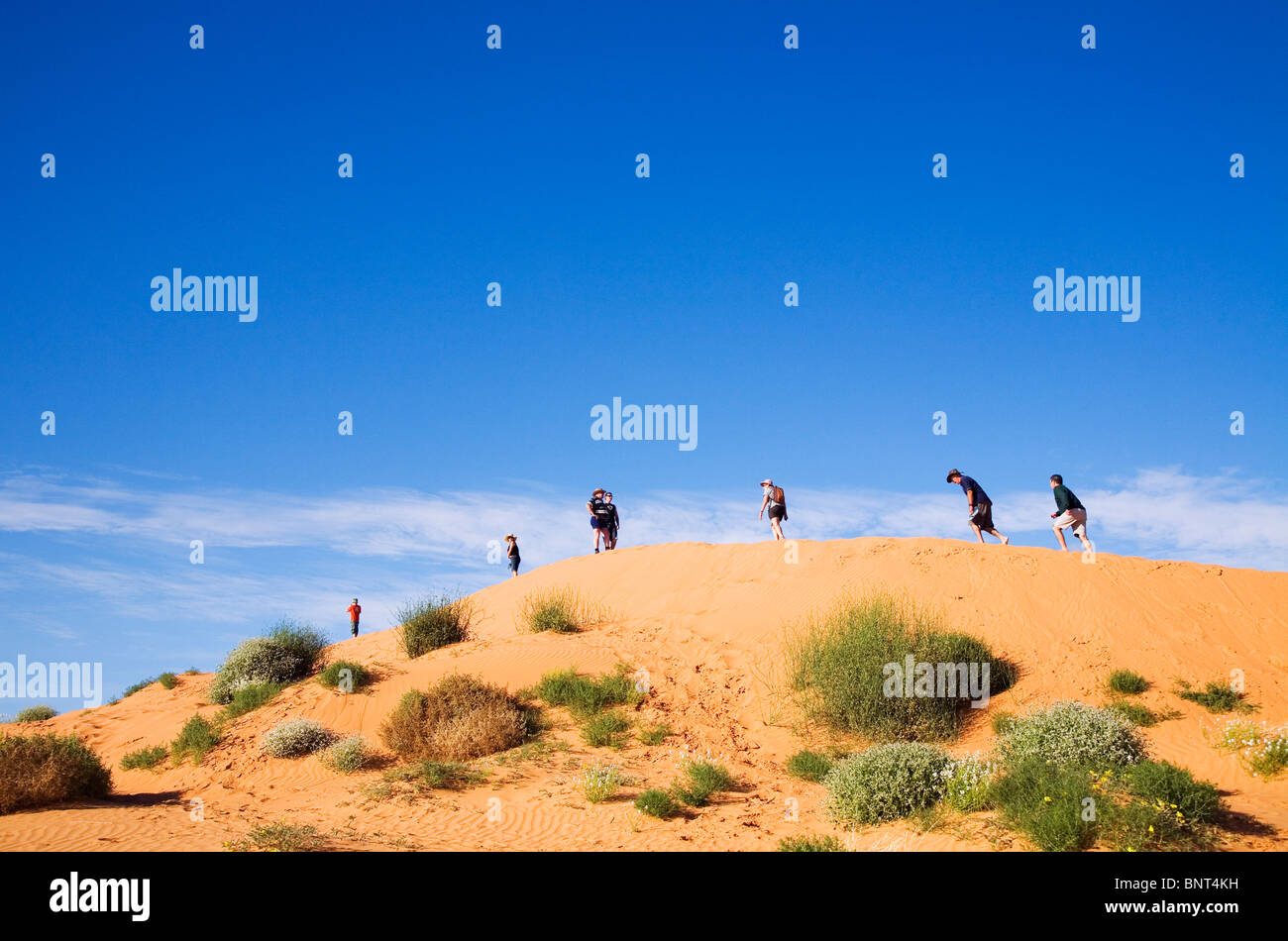 I turisti salendo sulle dune di sabbia del deserto Simpson National Park. Birdsville, Queensland, Australia. Foto Stock