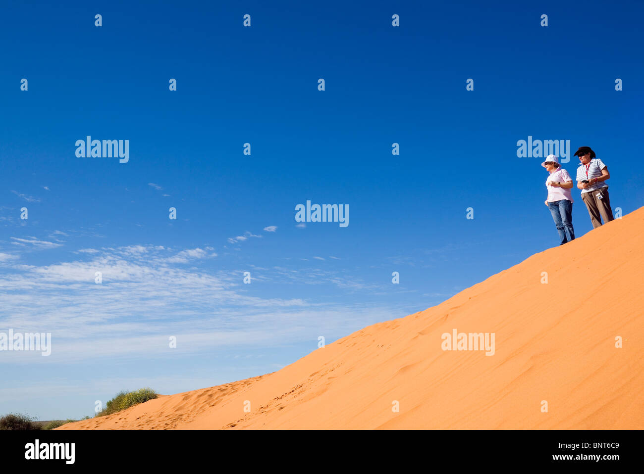 Guardando verso il Simpson Desert da una duna di sabbia. Simpson Desert National Park, Birdsville, Queensland, Australia. Foto Stock