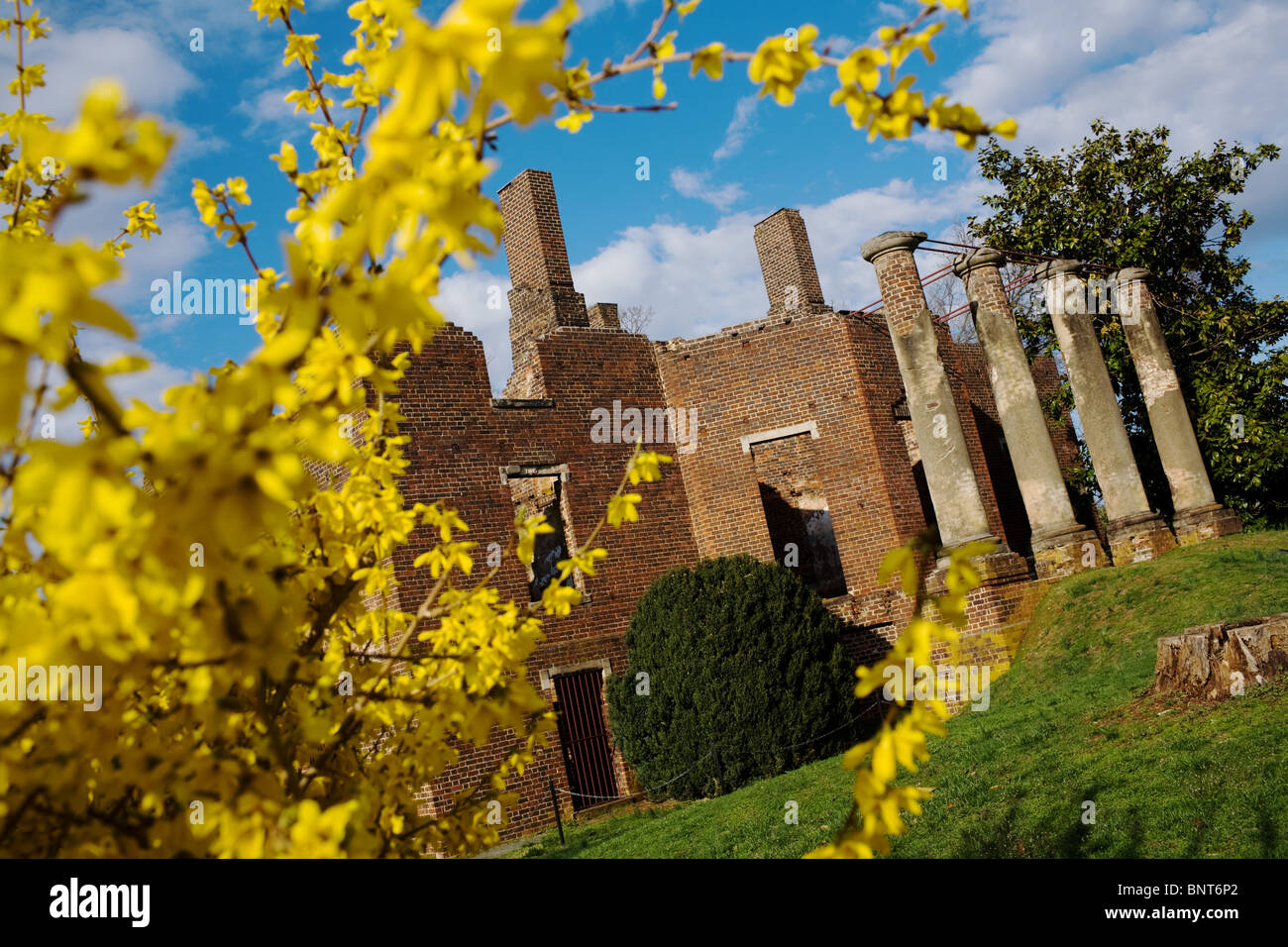 Rovine Barboursville, progettato da Thomas Jefferson, costruito 1814, distrutto da un incendio nel 1884, Virginia Foto Stock