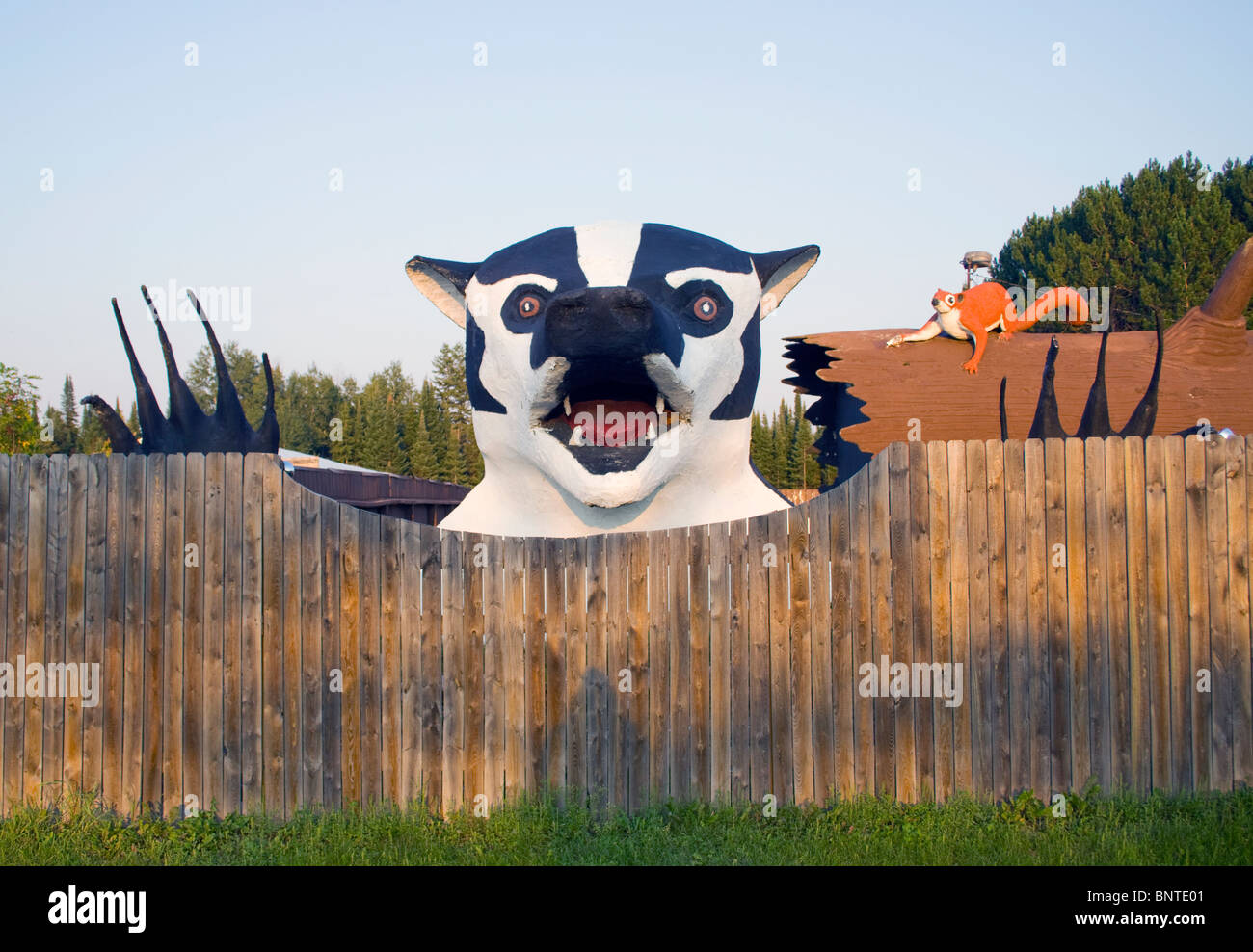 Scultura gigante di tronchi con un tasso in uno strip club di Birnamwood, Wisconsin, un'attrazione stravagante a lato della strada che mostra la creatività locale. Foto Stock