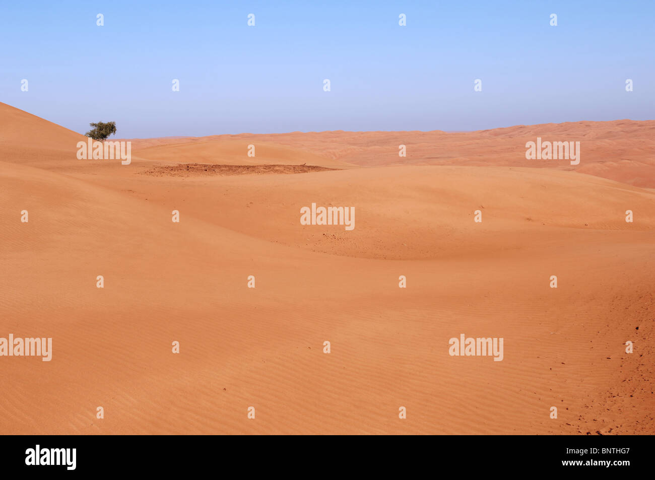 Oman Desert Foto Stock