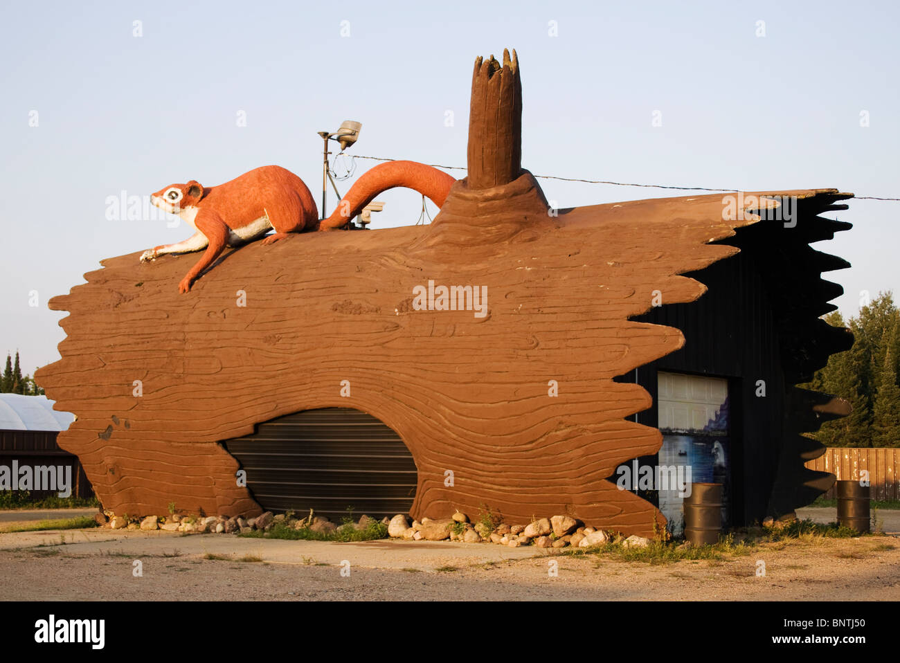 Scultura gigante di tronchi con un tasso in uno strip club di Birnamwood, Wisconsin, un'attrazione stravagante a lato della strada che mostra la creatività locale. Foto Stock