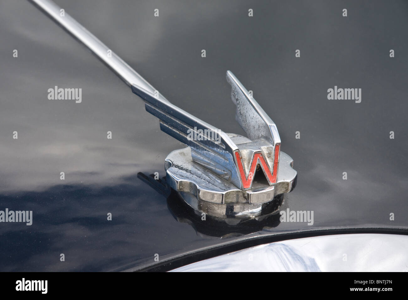 Badge del radiatore sul cofano del motore di un Wolseley quattro/quaranta quattro Foto Stock