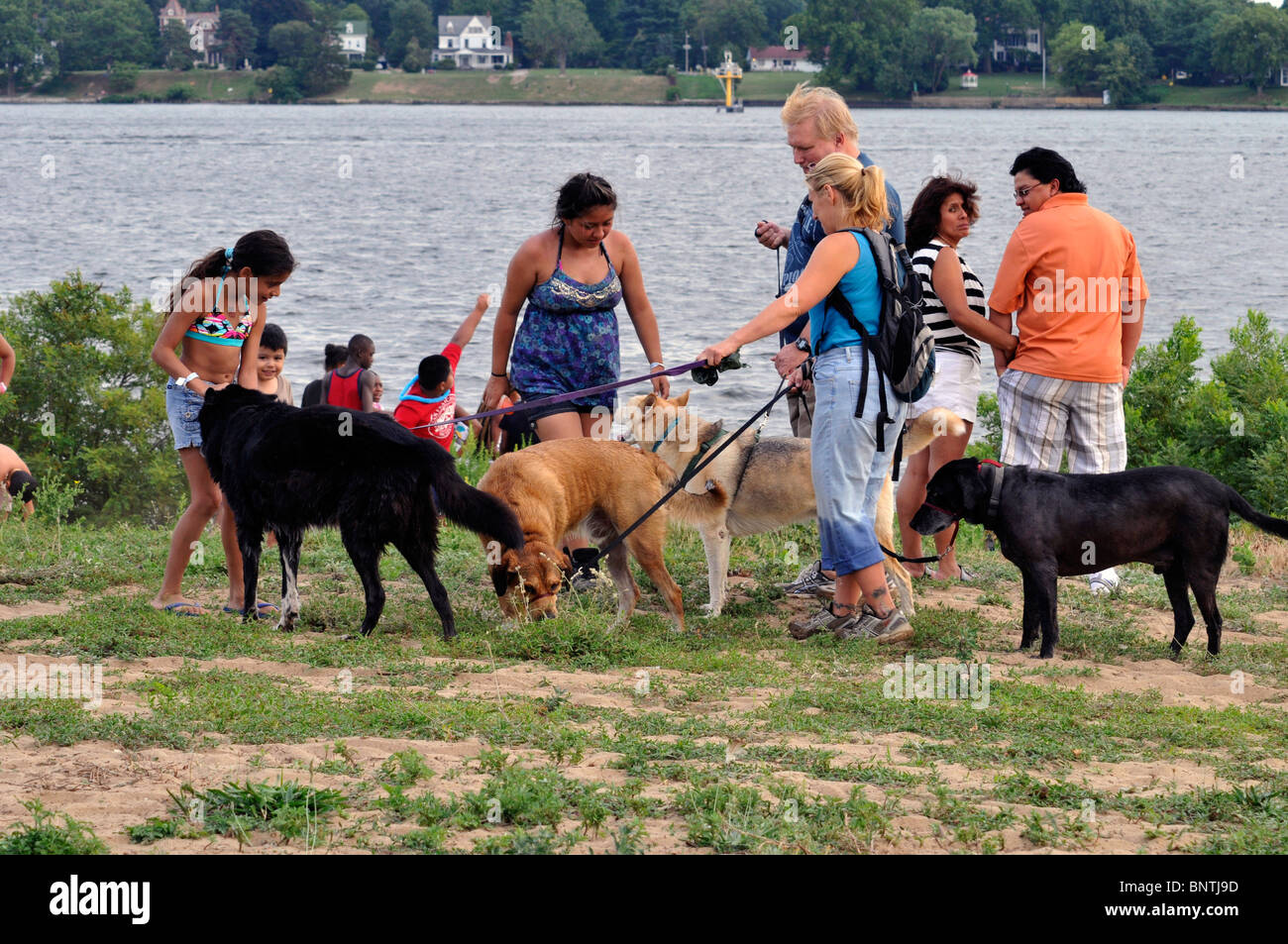 Bambini che giocano con i cani, Neshaminy parco statale, Bensalem, Pennsylvania, STATI UNITI D'AMERICA Foto Stock