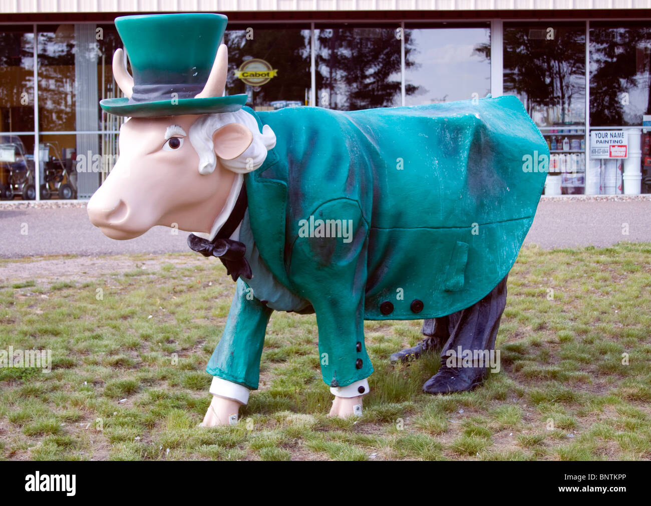 Scultura di mucche vestite a Woodruff, Wisconsin, un'attrazione stravagante a lato della strada che celebra il patrimonio caseario con una creatività giocosa. Foto Stock