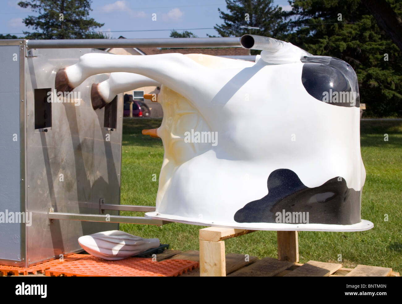 Fabbrica di statue in vetroresina a Sparta, Wisconsin, che produce sculture grandi e stravaganti per attrazioni lungo la strada e monumenti locali. Foto Stock