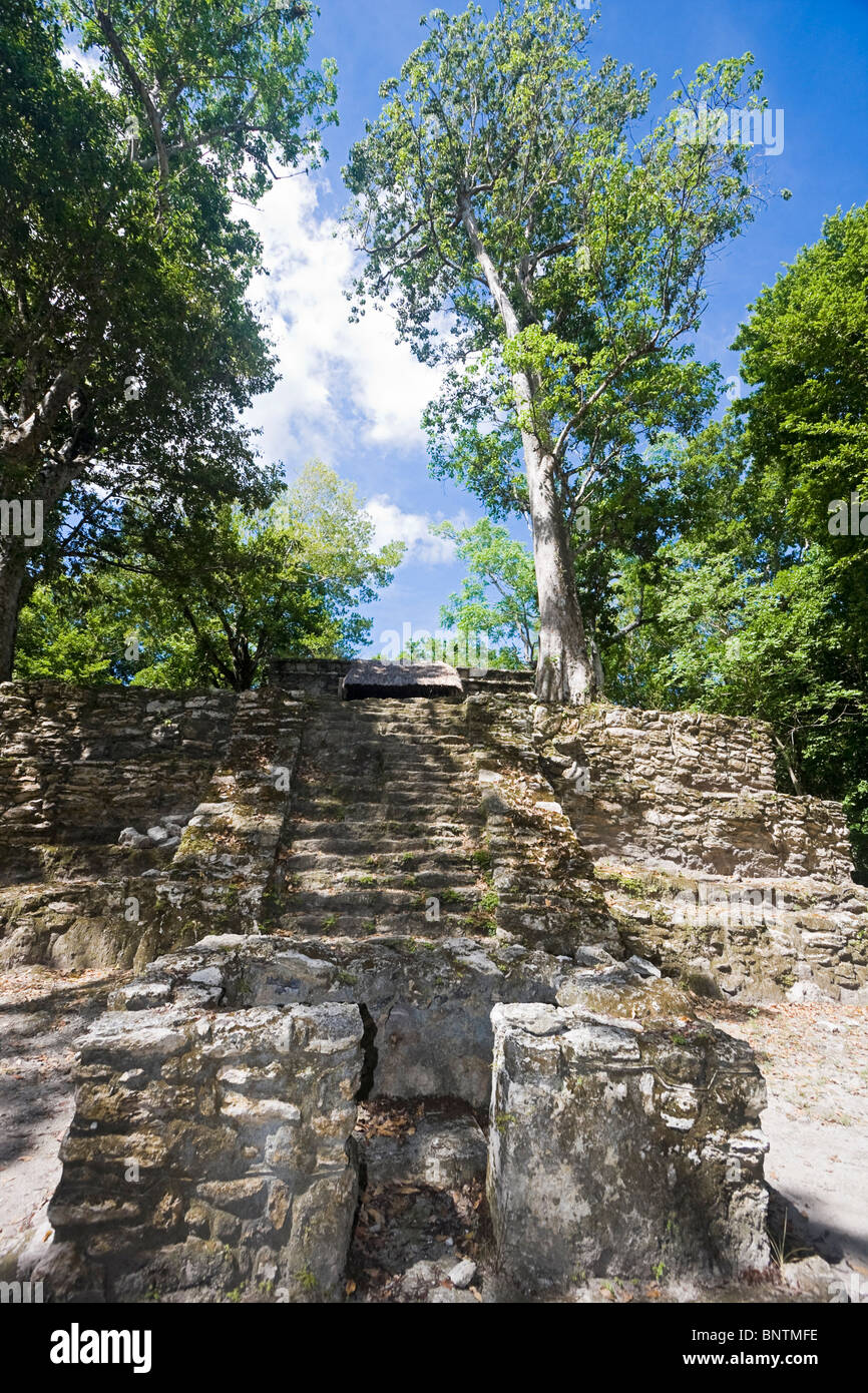 Palazzo Rosa, uno dei molti tempio Maya rovine di Sian Ka'an Biosfera, un parco ecologico in Messico Foto Stock