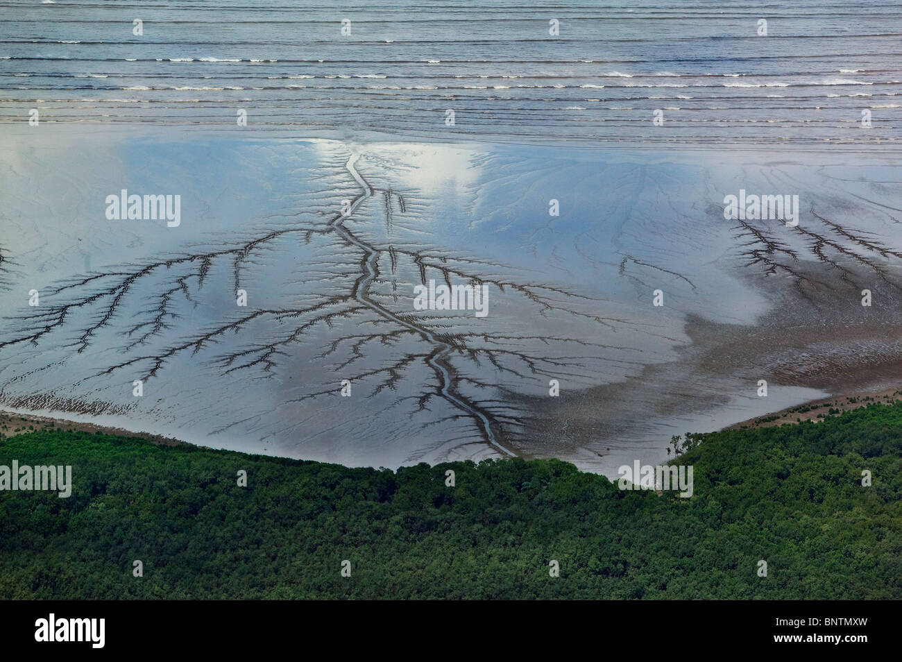 Vista aerea sopra il fango appartamenti bassa marea baia di Panama Panama City Foto Stock