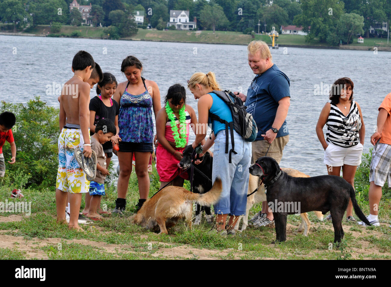 Adolescenti che giocano con i cani, Neshaminy parco statale, Bensalem, Pennsylvania, STATI UNITI D'AMERICA Foto Stock