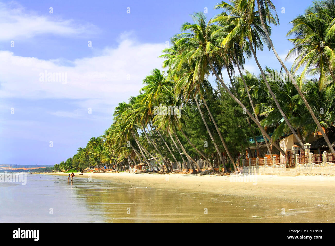 Il mare di Mui Ne Vietnam Foto Stock