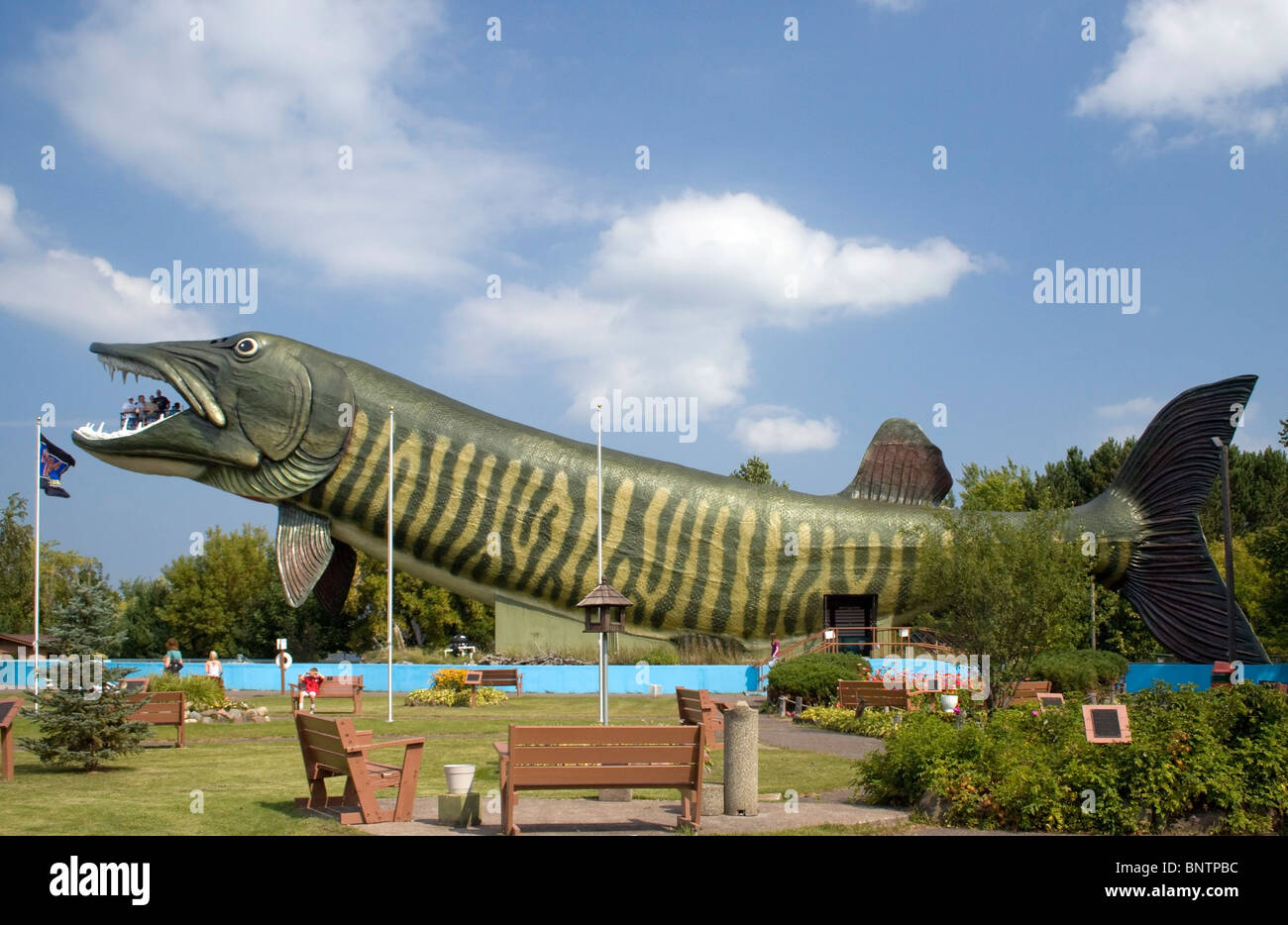 Mondi più grande pesce alla nazionale di pesca in acqua dolce Hall of Fame in Hayward Wisconsin Foto Stock