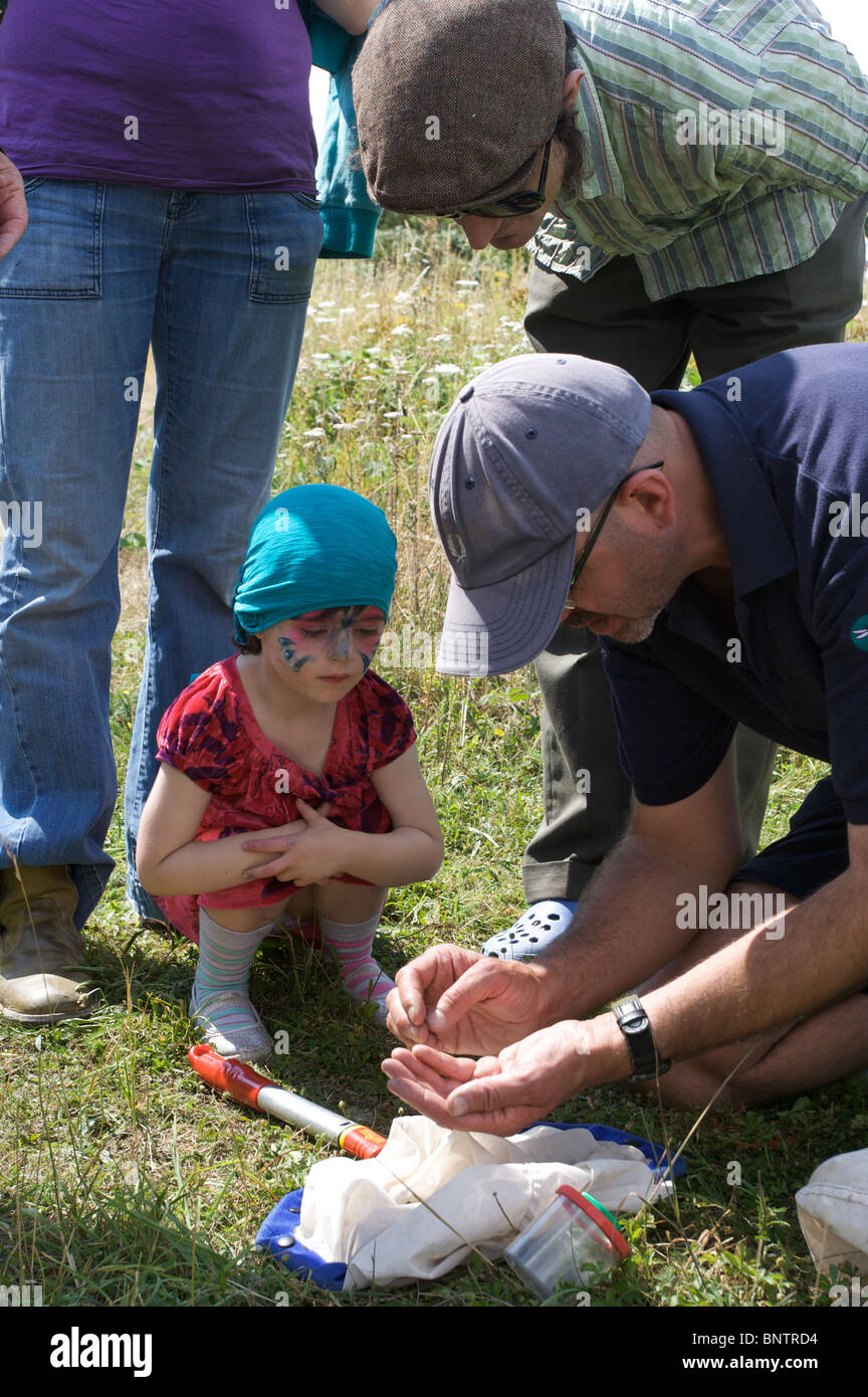 Nick mostra insetti per giovane famiglia,cary di prato, il sentiero di viaggio con rangers, ventesimo cary di prato, Norwich, Norfolk, Regno Unito Foto Stock