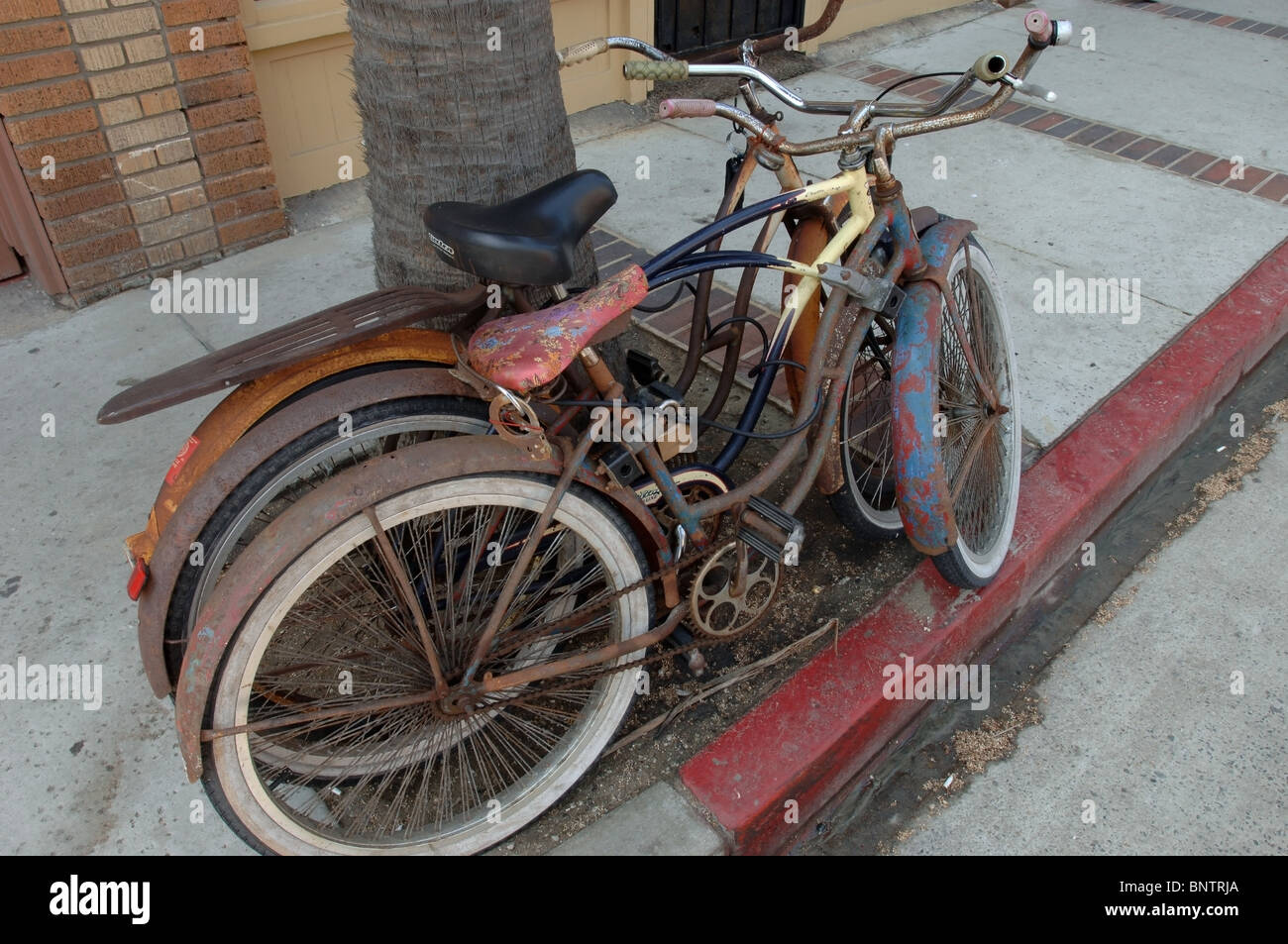 Rusty biciclette legata a un albero di palma in una spiaggia comunità. Foto Stock