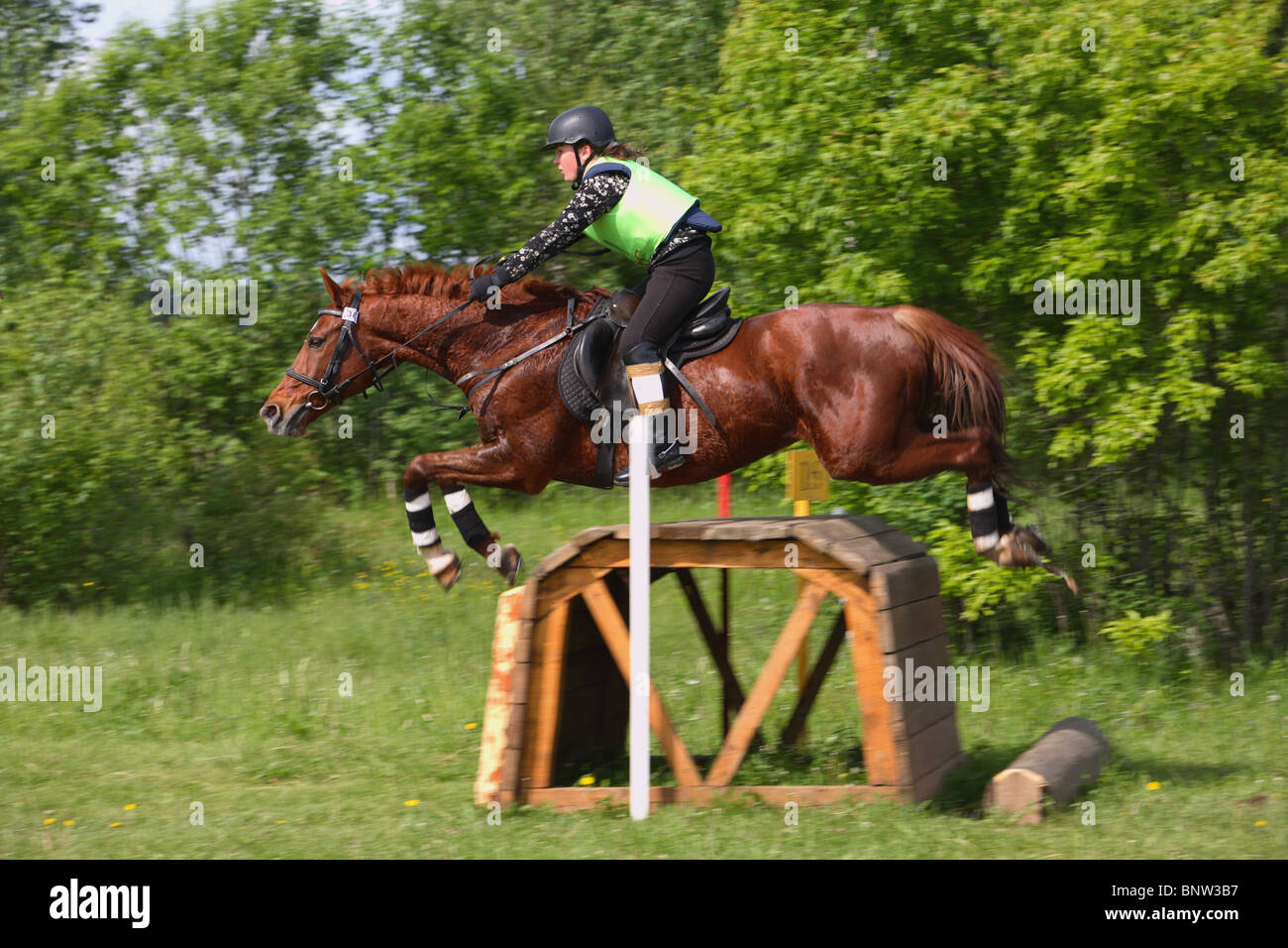 Questo cavallo e cavaliere sono la navigazione di un salto in lungo ostacolo su un giorno 3-eventing, cross country corso di salto Foto Stock